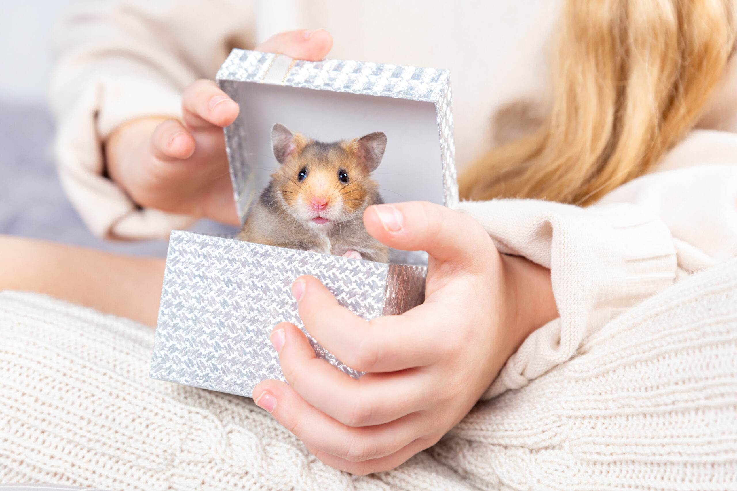 Kind packt Hamster als Geschenk aus