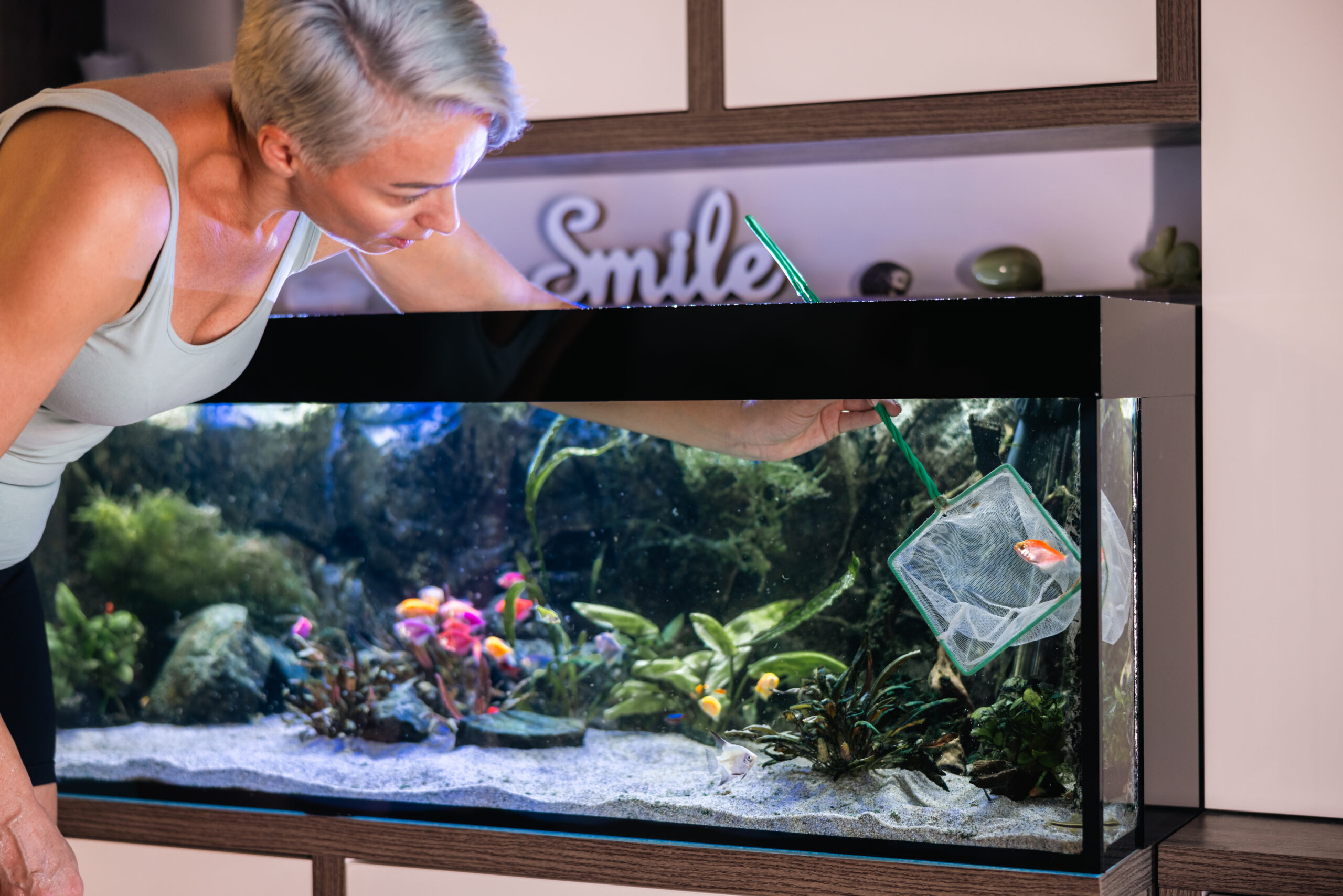 Frau fängt einen Fisch im Aquarium