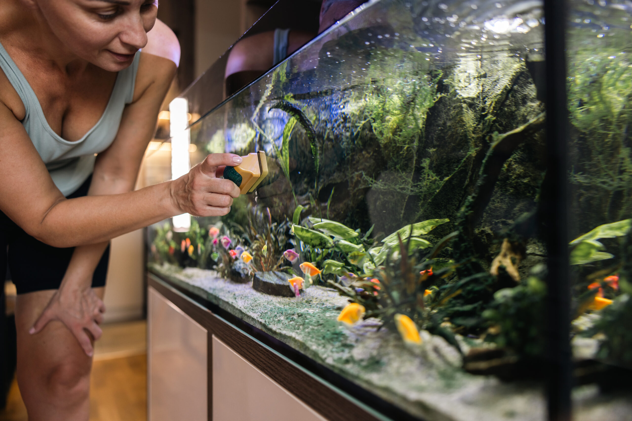 Frau reinigt die Scheibe am Aquarium