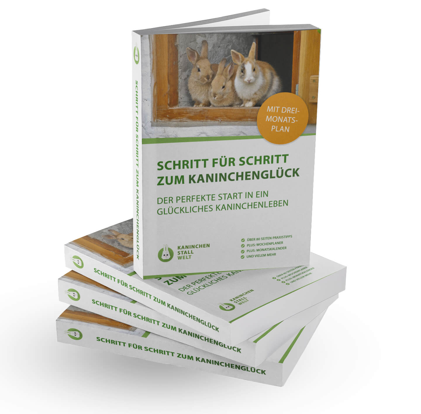 Cover des E-Books "Schritt für Schritt zum Kaninchenglück" mit drei Kaninchen im Stallfenster und Hinweis auf Dreimonatsplan