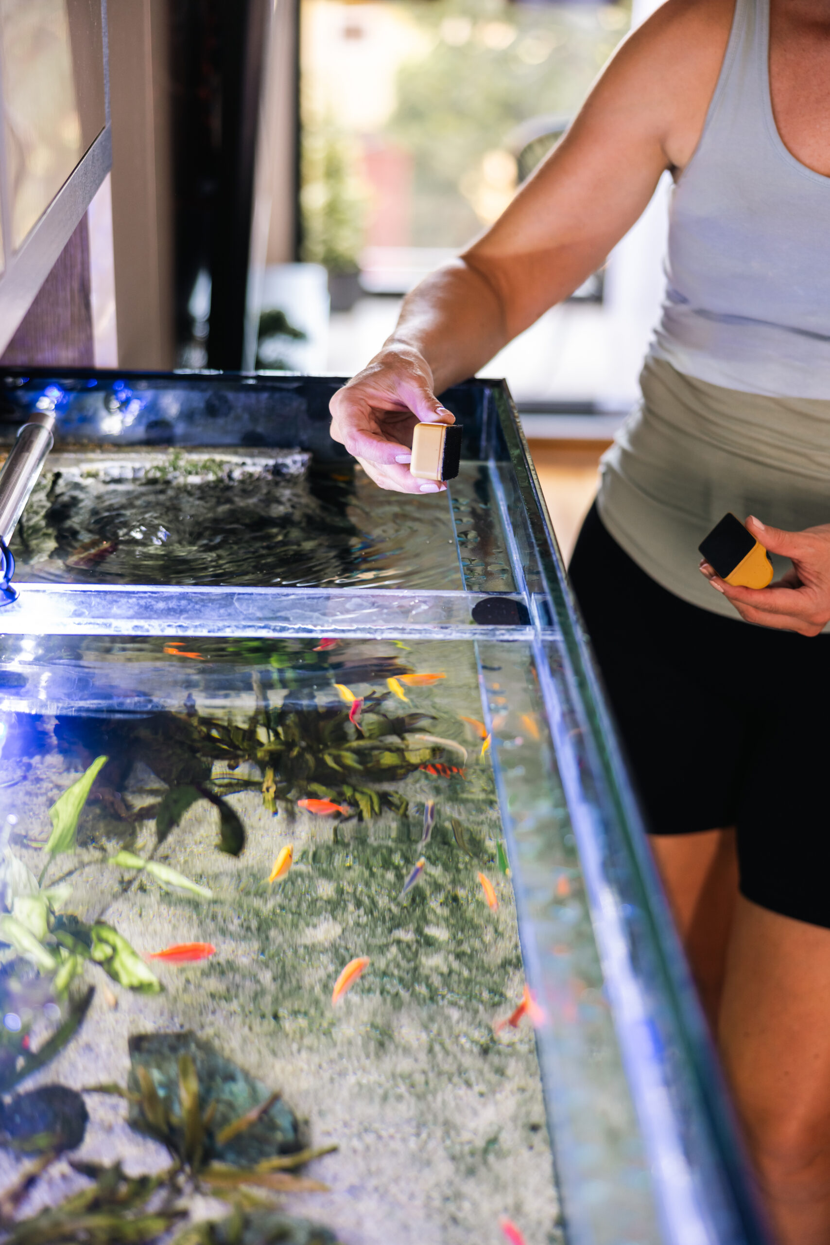 Frau reinigt ein Aquarium mit Magnetreiniger
