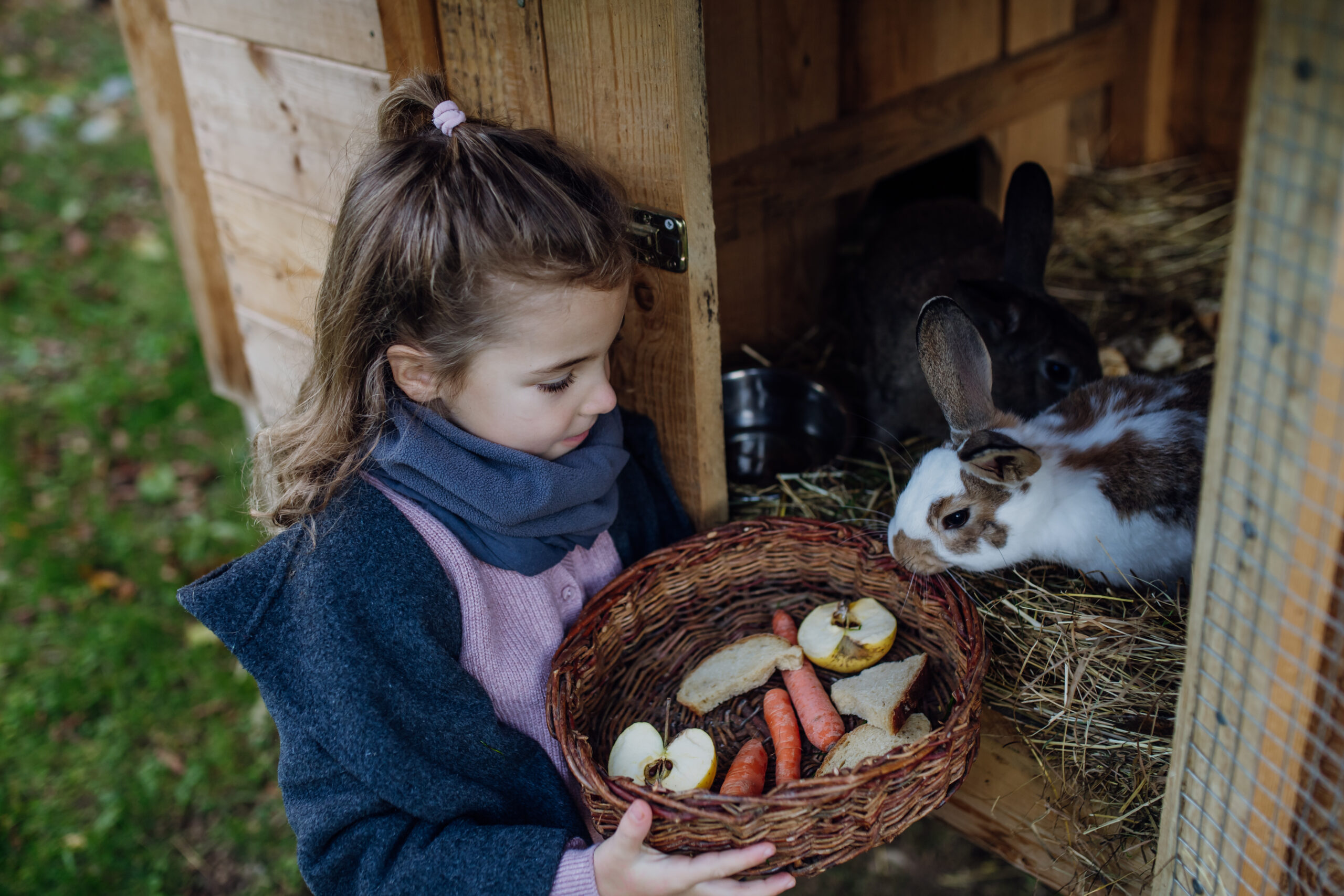 Mädchen füttert Kaninchen mit frischem Gemüse und Obst aus einem Korb