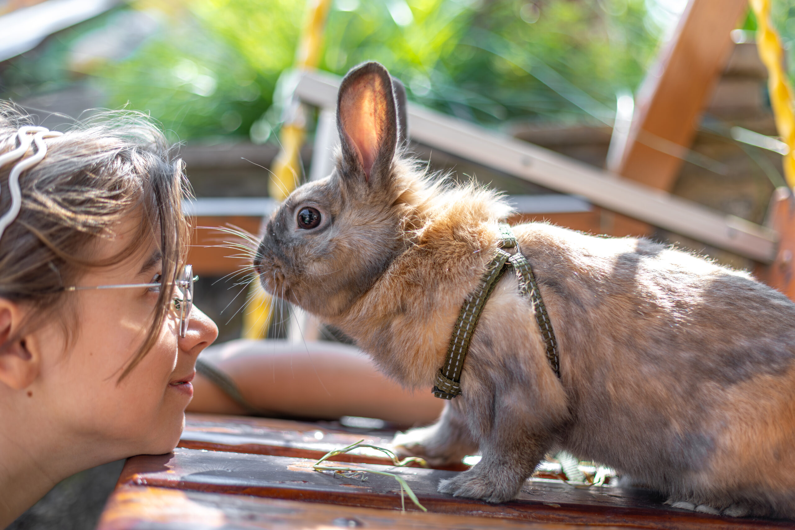 Mädchen schaut einem Kaninchen im Geschirr direkt in die Augen – Symbol für artgerechte Kaninchenhaltung und Familienalltag