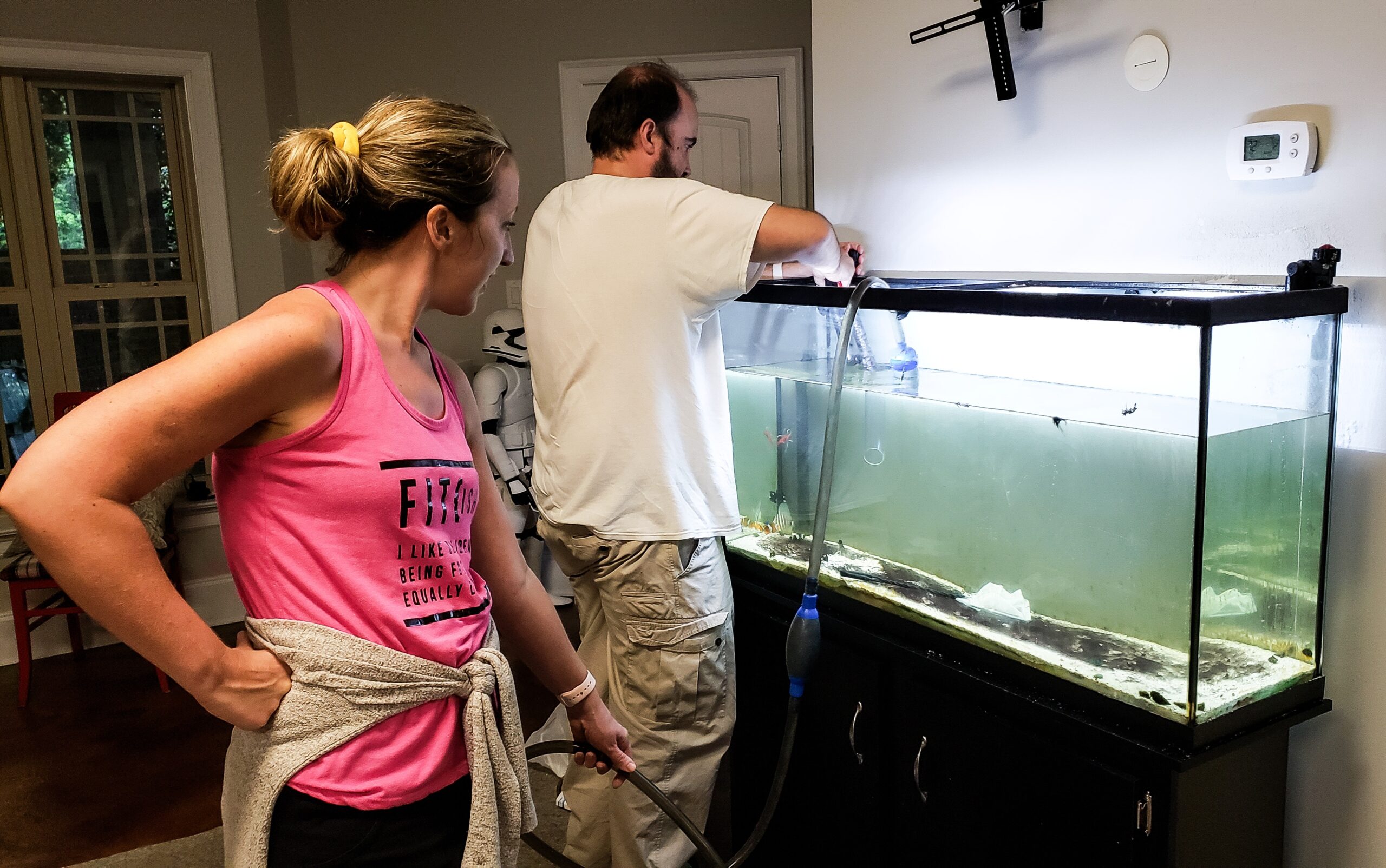 Paar reinigt und pflegt Aquarium – Wasserwechsel als wichtiger Schritt für ein gesundes Biotop